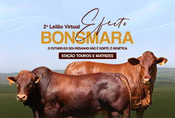 2º LEILÃO VIRTUAL EFEITO BONSMARA - EDIÇÃO TOUROS E MATRIZES